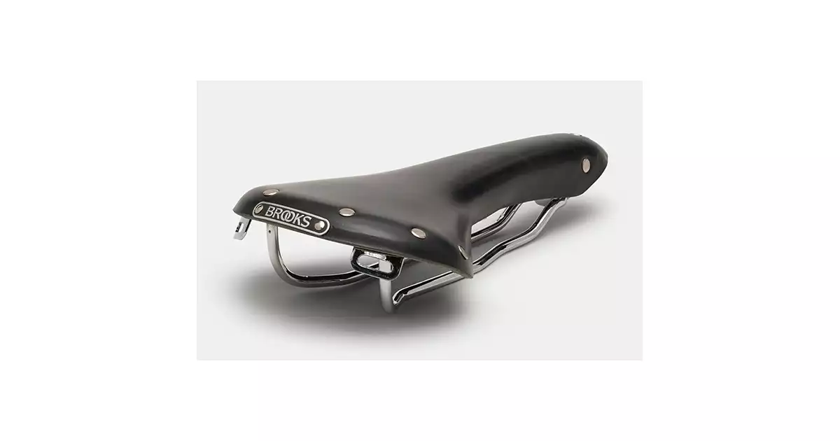 141475-Siodelko-BROOKS-SWALLOW