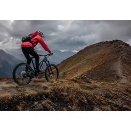 Kellys Theos F70 SH e-MTB podczas podjazdu w górskim terenie